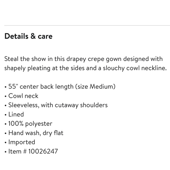 WAYF The Georgina Cowl Neck Gown - Picture 6 of 6